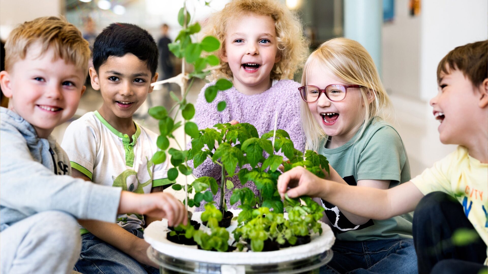 Fem glada elever på Innovitaskolan sitter tillsammans rund en hydroponisk odling.