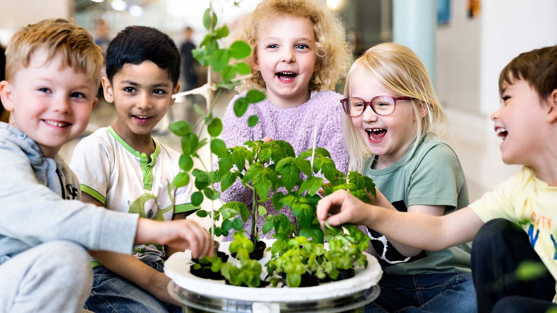 Elever tittar på en odling tillsammans och utforskar innehållet.