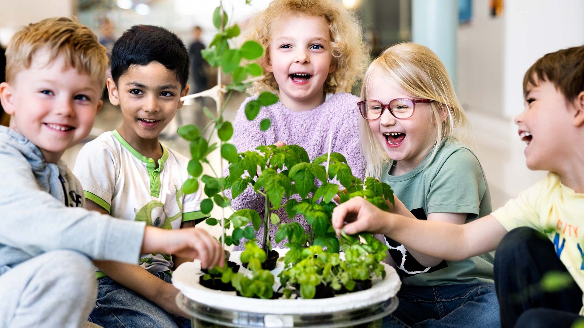 Elever tittar på en odling tillsammans och utforskar innehållet.
