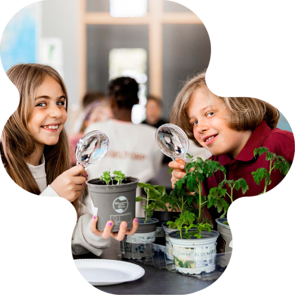 Elever som undersöker växter.